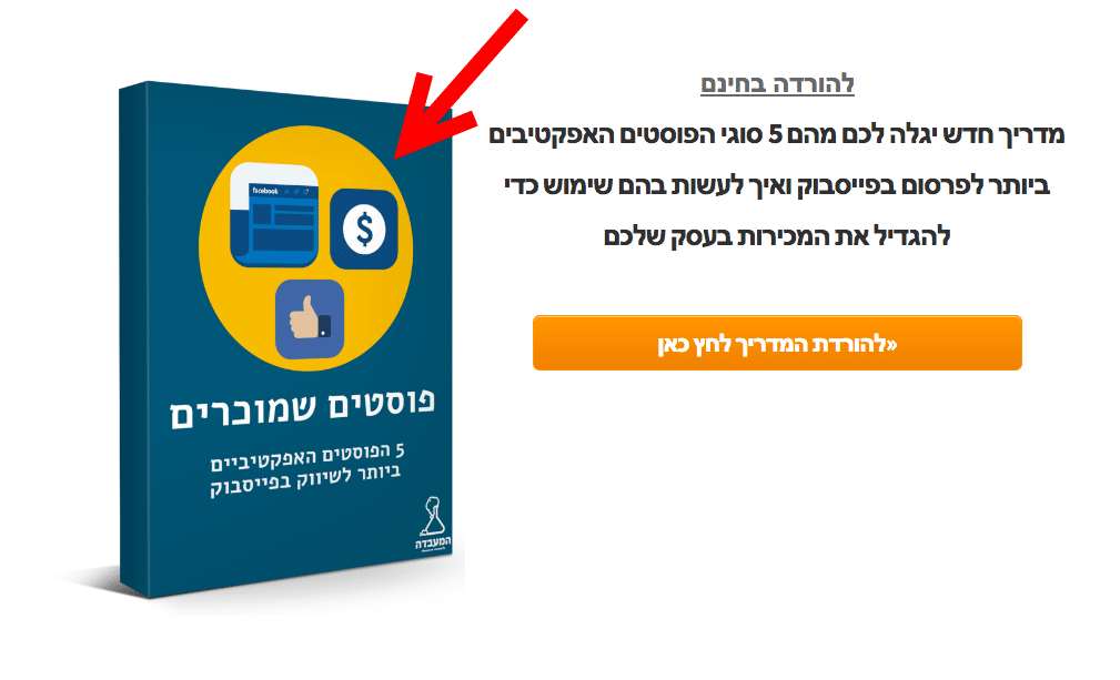 דוגמה למגנט לידים מסוג מדריך חינמי